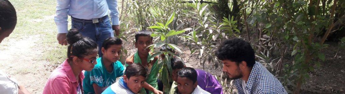 World Environment Day